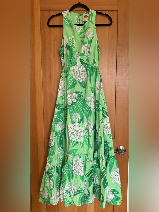 FARM Rio Dresses & Skirts - Farm Rio Dewdrop Floral Cutout-Back Midi Dress, size small